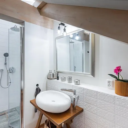 U Kralovske Mincovny V Podkrovi - Attic Apartment Jachymov